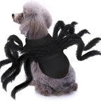 Pet Bat & Spider Wings | Premium Halloween Costume Prop